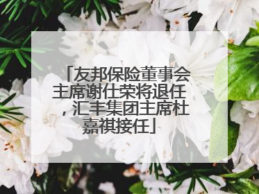 友邦保险董事会主席谢仕荣将退任，汇丰集团主席杜嘉祺接任