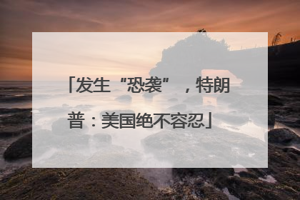 发生“恐袭”，特朗普：美国绝不容忍