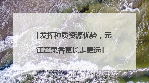 发挥种质资源优势，元江芒果香更长走更远