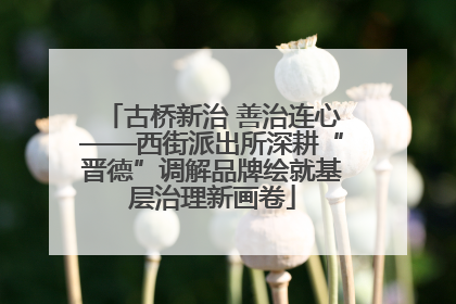 古桥新治 善治连心——西街派出所深耕“晋德”调解品牌绘就基层治理新画卷