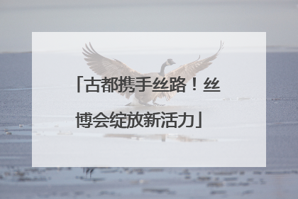 古都携手丝路！丝博会绽放新活力