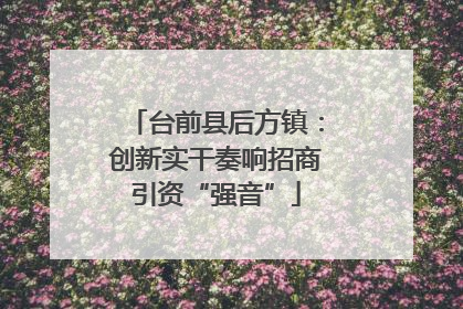 台前县后方镇：创新实干奏响招商引资“强音”