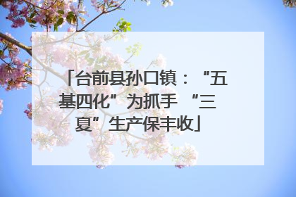 台前县孙口镇：“五基四化”为抓手 “三夏”生产保丰收