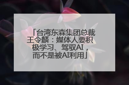台湾东森集团总裁王令麟：媒体人要积极学习、驾驭AI，而不是被AI利用