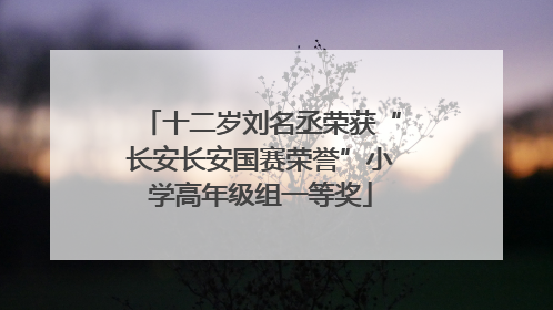 十二岁刘名丞荣获“长安长安国赛荣誉”小学高年级组一等奖