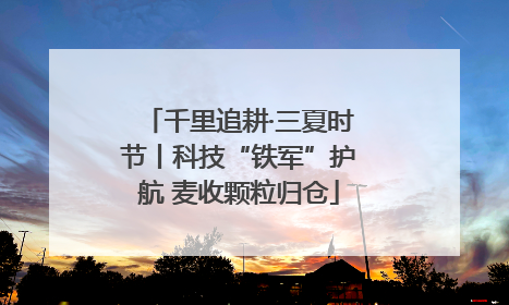 千里追耕·三夏时节丨科技“铁军”护航 麦收颗粒归仓