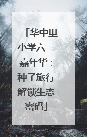 华中里小学六一嘉年华：种子旅行解锁生态密码