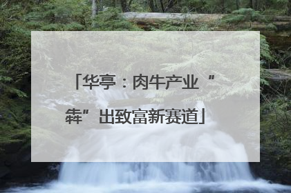 华亭：肉牛产业“犇”出致富新赛道