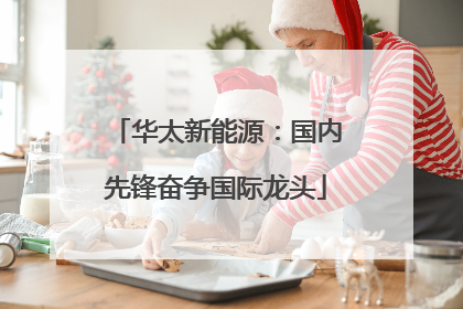 华太新能源：国内先锋奋争国际龙头
