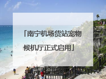南宁机场货站宠物候机厅正式启用