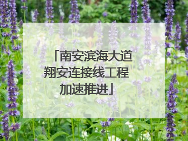 南安滨海大道翔安连接线工程加速推进