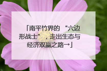 南平竹界的 “六边形战士”，走出生态与经济双赢之路→