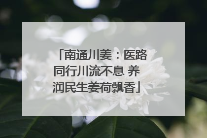 南通川姜：医路同行川流不息 养润民生姜荷飘香