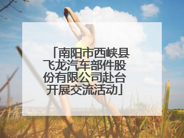 南阳市西峡县飞龙汽车部件股份有限公司赴台开展交流活动