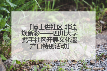 博士进社区 非遗焕新彩——四川大学携手社区开展文化遗产日特别活动