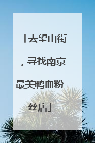去望山街，寻找南京最美鸭血粉丝店