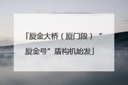 厦金大桥（厦门段）“厦金号”盾构机始发