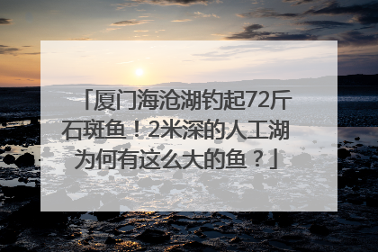 厦门海沧湖钓起72斤石斑鱼！2米深的人工湖为何有这么大的鱼？
