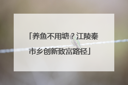 养鱼不用塘？江陵秦市乡创新致富路径