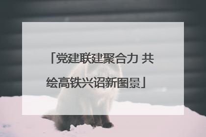 党建联建聚合力 共绘高铁兴诏新图景