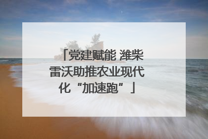 党建赋能 潍柴雷沃助推农业现代化“加速跑”