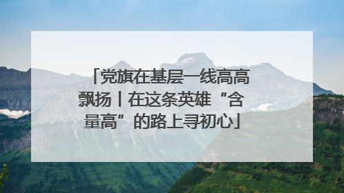 党旗在基层一线高高飘扬丨在这条英雄“含量高”的路上寻初心