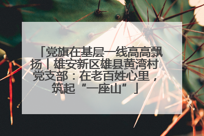 党旗在基层一线高高飘扬丨雄安新区雄县黄湾村党支部：在老百姓心里，筑起“一座山”