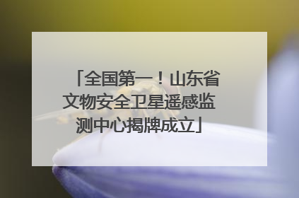 全国第一！山东省文物安全卫星遥感监测中心揭牌成立