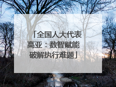全国人大代表高亚：数智赋能破解执行难题