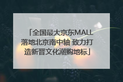 全国最大京东MALL落地北京南中轴 致力打造新晋文化潮购地标