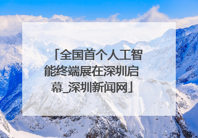 全国首个人工智能终端展在深圳启幕_深圳新闻网