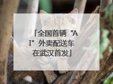 全国首辆“AI”外卖配送车在武汉首发