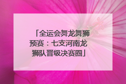 全运会舞龙舞狮预赛：七支河南龙狮队晋级决赛圈