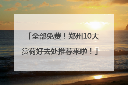 全部免费！郑州10大赏荷好去处推荐来啦！
