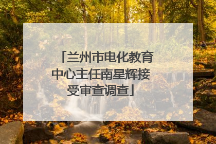 兰州市电化教育中心主任南星辉接受审查调查