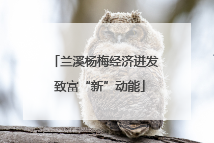 兰溪杨梅经济迸发致富“新”动能