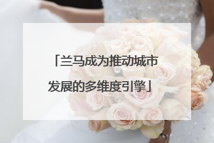 兰马成为推动城市发展的多维度引擎