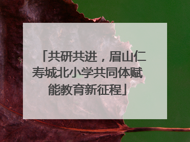 共研共进，眉山仁寿城北小学共同体赋能教育新征程