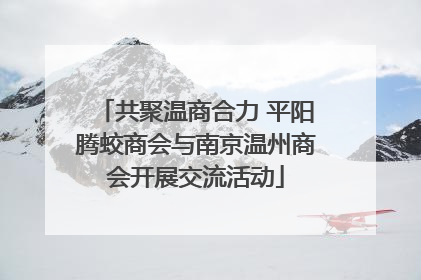 共聚温商合力 平阳腾蛟商会与南京温州商会开展交流活动