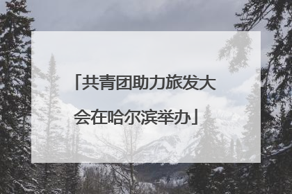 共青团助力旅发大会在哈尔滨举办