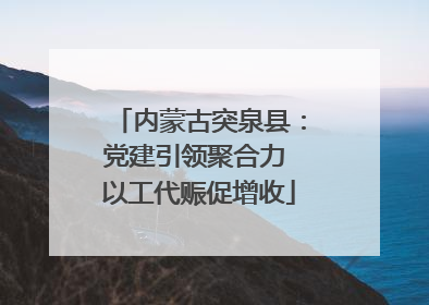 内蒙古突泉县：党建引领聚合力 以工代赈促增收