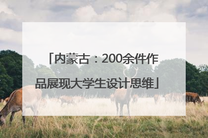 内蒙古：200余件作品展现大学生设计思维