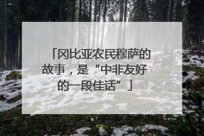 冈比亚农民穆萨的故事，是“中非友好的一段佳话”