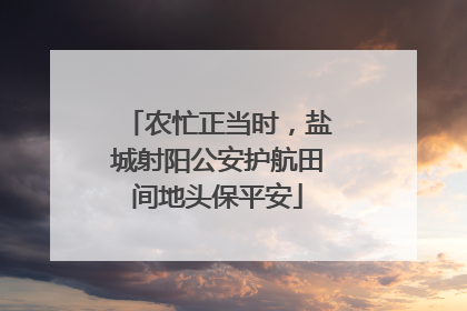 农忙正当时，盐城射阳公安护航田间地头保平安