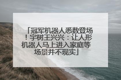冠军机器人悉数登场！宇树王兴兴：让人形机器人马上进入家庭等场景并不现实