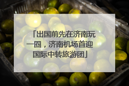 出国前先在济南玩一圈，济南机场首迎国际中转旅游团