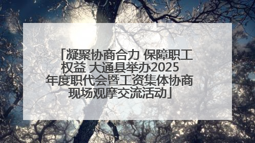 凝聚协商合力 保障职工权益 大通县举办2025年度职代会暨工资集体协商现场观摩交流活动