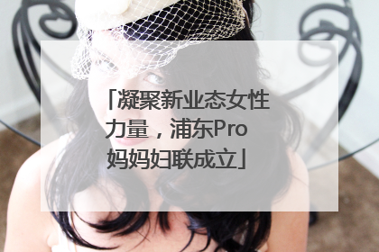 凝聚新业态女性力量，浦东Pro妈妈妇联成立