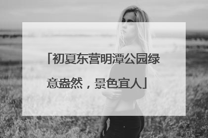 初夏东营明潭公园绿意盎然，景色宜人