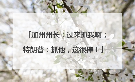 加州州长：过来抓我啊；特朗普：抓他，这很棒！